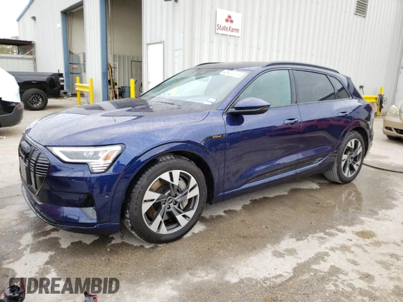 2022 Audi e-tron Premium with VIN WA1AAAGE5NB034143, listed as a Copart auction lot 43930573 with 4,484 mi miles. Bid and sale history available at carsss.com. Image 1.