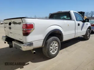 2013 Ford F-150 XL with VIN 1FTPF1CF5DKD70051, listed as a Copart auction lot 48748135 with 204,755 mi miles and Salvage title. Bid and sale history available at DreamBid. Image 3.