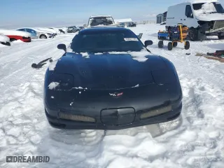 2002 Chevrolet Corvette Z06 with VIN 1G1YY12S625102143, listed as a Copart auction lot 42627185 with 0 mi miles and Clean Title. Bid and sale history available at carsss.com. Image 5.