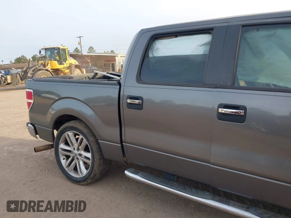 2010 Ford F-150 XL with VIN 1FTEW1C83AFC16015, listed as a IAAI auction lot 41332988 with Not Provided miles and . Bid and sale history available at DreamBid. Image 17.