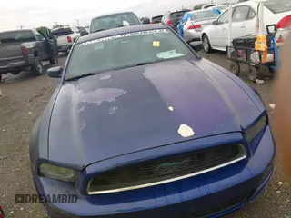 2014 Ford Mustang V6 с VIN 1ZVBP8AM7E5267695, выставлен на аукционе IAAI как лот 42535101 с пробегом 109 183 миль миль и . История ставок и продаж доступна на DreamBid. Изображение 12.