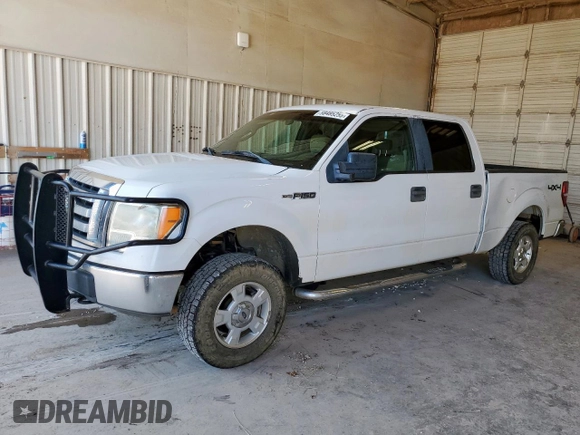 2009 Ford F-150 XL z VIN 1FTPW14V09KB99853, wystawiony jako Copart lot #58485255 z przebiegiem 229 437 mil mil oraz Tytuł czysty. Historia ofert i sprzedaży dostępna na DreamBid. Obrazek 1.