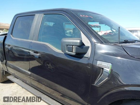 2023 Ford F-150 XL z VIN 1FTEW1C80PKD24124, wystawiony jako IAAI lot #42356966 z przebiegiem 52 104 mil mil oraz . Historia ofert i sprzedaży dostępna na DreamBid. Obrazek 13.