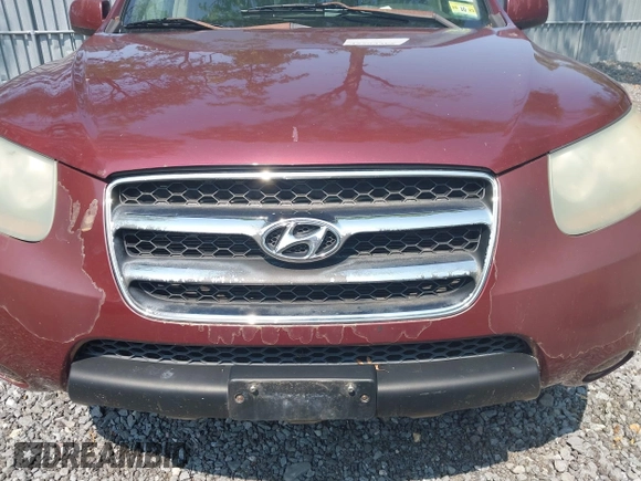 2007 Hyundai Santa Fe GLS z VIN 5NMSG13D87H013162, wystawiony jako IAAI lot #42399465 z przebiegiem 186 386 mil mil oraz . Historia ofert i sprzedaży dostępna na DreamBid. Obrazek 6.
