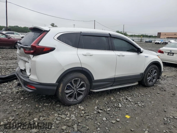 2020 Honda CR-V EX-L with VIN 7FART6H86LE017990, listed as a Copart auction lot 60563125 with 56,174 mi miles and Salvage title. Bid and sale history available at DreamBid. Image 3.