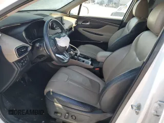 2020 Hyundai Santa Fe SEL with VIN 5NMS3CAA8LH299704, listed as a Copart auction lot 41842335 with 55,980 mi miles and Salvage Title. Bid and sale history available at carsss.com. Image 7.