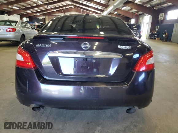 2010 Nissan Maxima SV with VIN 1N4AA5AP7AC846576, listed as a Copart auction lot 56277125 with 219,851 mi miles and Clean title. Bid and sale history available at DreamBid. Image 6.