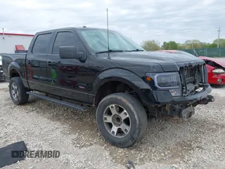 2011 Ford F-150 XLT with VIN 1FTFW1ET8BFC23727, listed as a IAAI auction lot 42011428 with 221,581 mi miles and . Bid and sale history available at carsss.com. Image 1.