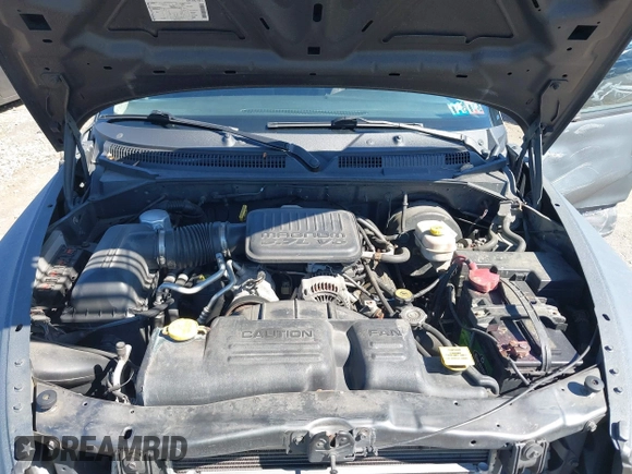 2004 Dodge Dakota Sport with VIN 1D7HG38K84S608161, listed as a IAAI auction lot 41863394 with 145,288 mi miles and . Bid and sale history available at DreamBid. Image 10.