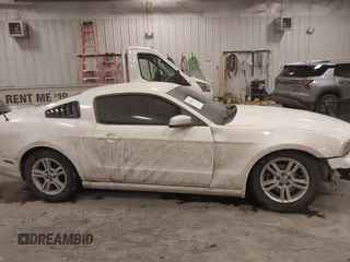 2013 Ford Mustang V6 with VIN 1ZVBP8AM0D5281131, listed as a IAAI auction lot 41447563 with 119,820 mi miles. Bid and sale history available at carsss.com. Image 13.
