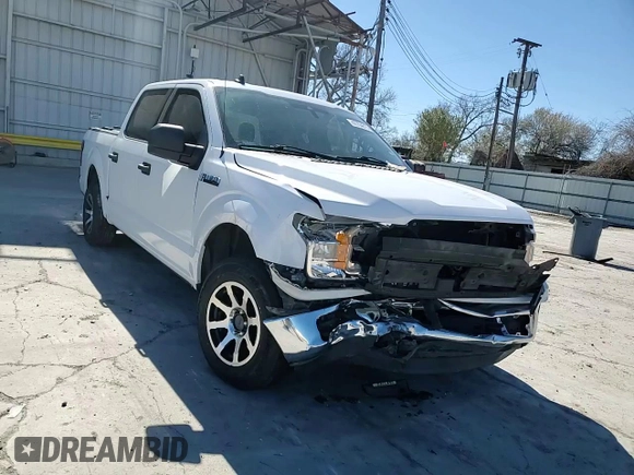 2019 Ford F-150 XL with VIN 1FTEW1CB2KKC38009, listed as a Copart auction lot 42704815 with 64,813 mi miles and Salvage title. Bid and sale history available at DreamBid. Image 10.