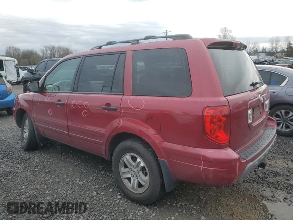 2005 Honda Pilot EX with VIN 2HKYF184X5H568118, listed as a Copart auction lot 50090105 with 206,952 mi miles and Salvage Title. Bid and sale history available at carsss.com. Image 2.