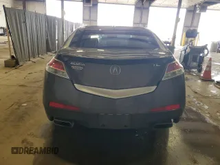 2009 Acura TL Tech with VIN 19UUA86549A018283, listed as a Copart auction lot 51913805 with 205,287 mi miles and Salvage Title. Bid and sale history available at carsss.com. Image 6.