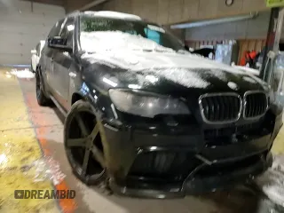 2010 BMW X5 M with VIN 5YMGY0C58ALK25854, listed as a Copart auction lot 87815685 with 0 mi miles and Salvage Title. Bid and sale history available at carsss.com. Image 11.