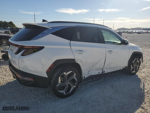 2024 Hyundai Tucson SEL with VIN 5NMJF3DE3RH430290, listed as a Copart auction lot 81738934 with 22,909 mi miles and Salvage Title. Bid and sale history available at carsss.com. Image 3.