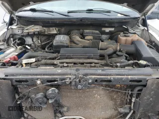 2009 Ford F-150 XL z VIN 1FTPW14V59KC72750, wystawiony jako Copart lot #54487105 z przebiegiem 242 321 mil mil oraz Szkoda całkowita • Salvage title. Historia ofert i sprzedaży dostępna na DreamBid. Obrazek 11.
