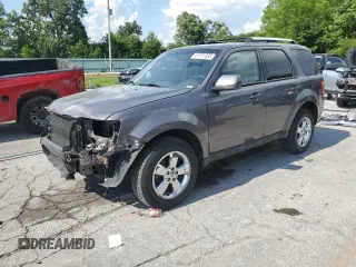 2010 Ford Escape Limited with VIN 1FMCU0EG6AKD00764, listed as a Copart auction lot 61771035 with 173,892 mi miles and Salvage title. Bid and sale history available at DreamBid. Image 1.