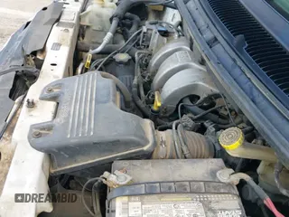 1999 Dodge Caravan SE z VIN 1B4GP45G2XB554868, wystawiony jako IAAI lot #41882038 z przebiegiem 130 743 mil mil oraz . Historia ofert i sprzedaży dostępna na DreamBid. Obrazek 21.