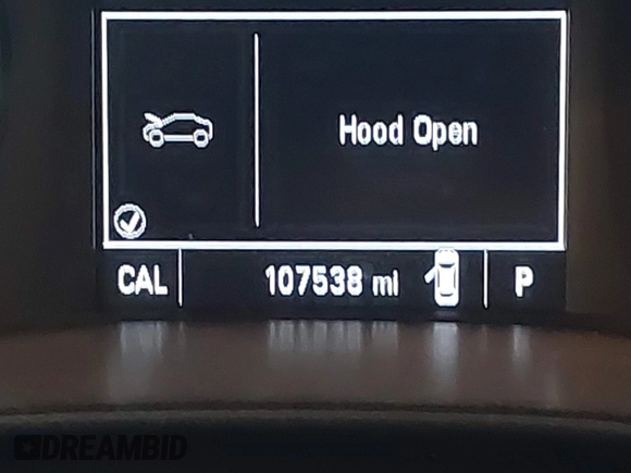 2017 Chevrolet Colorado 4WD WT with VIN 1GCGTBEN7H1214060, listed as a IAAI auction lot 42557141 with 107,538 mi miles and . Bid and sale history available at DreamBid. Image 15.