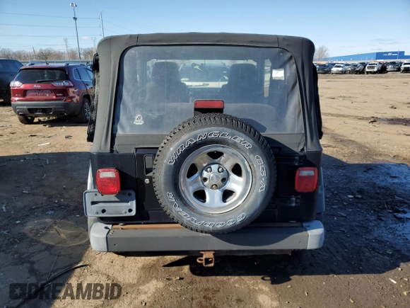 2003 Jeep Wrangler X with VIN 1J4FA39S33P357059, listed as a Copart auction lot 48983315 with 166,532 mi miles and Salvage title. Bid and sale history available at DreamBid. Image 6.