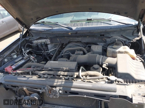 2010 Ford F-150 XL with VIN 1FTEX1E84AFC33271, listed as a IAAI auction lot 42161569 with 134,654 mi miles and . Bid and sale history available at DreamBid. Image 10.