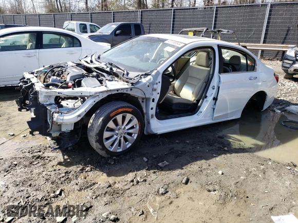 2013 Honda Accord Sdn EX-L with VIN 1HGCR2F84DA209027, listed as a Copart auction lot 48967195 with Not Provided miles and Non Repairable. Bid and sale history available at carsss.com. Image 1.