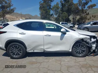 2025 Lexus NX 250 Premium z VIN JTJGDCAZ6S5024713, wystawiony jako IAAI lot #42020261 z przebiegiem 5833 mil mil oraz . Historia ofert i sprzedaży dostępna na DreamBid. Obrazek 13.