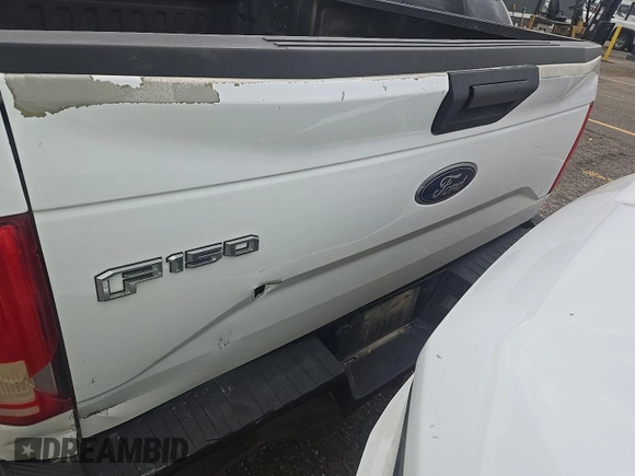 2017 Ford F-150 XL with VIN 1FTEX1EP1HKC73011, listed as a IAAI auction lot 42788915 with 196,143 mi miles and . Bid and sale history available at DreamBid. Image 28.