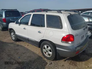 2005 Hyundai Santa Fe GLS with VIN KM8SC73E15U956552, listed as a IAAI auction lot 42003035 with 143,268 mi miles. Bid and sale history available at carsss.com. Image 3.