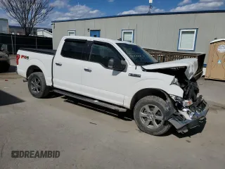 2019 Ford F-150 XL with VIN 1FTEW1E44KFA84586, listed as a Copart auction lot 50555625 with 204,126 mi miles and Salvage Title. Bid and sale history available at carsss.com. Image 4.