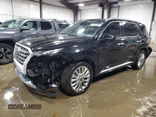 2020 Hyundai Palisade Limited with VIN KM8R54HE5LU065869, listed as a Copart auction lot 47009605 with 49,207 mi miles and Salvage title. Bid and sale history available at DreamBid. Image 1.
