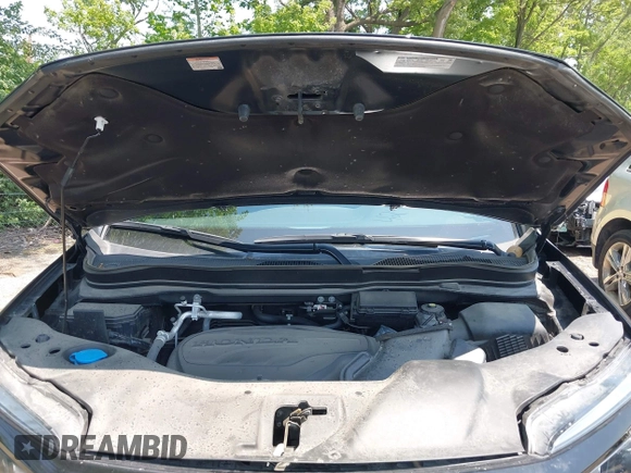 2021 Honda Passport Sport with VIN 5FNYF8H24MB043219, listed as a IAAI auction lot 42461003 with 38,800 mi miles and . Bid and sale history available at DreamBid. Image 10.
