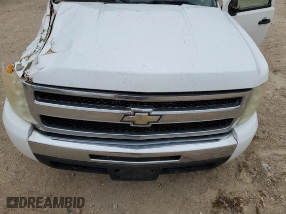 2009 Chevrolet Silverado 1500 LT with VIN 3GCEC23C99G109242, listed as a Copart auction lot 45312595 with 166,422 mi miles and Non Repairable. Bid and sale history available at DreamBid. Image 12.