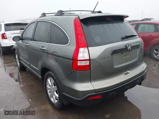 2009 Honda CR-V EX-L with VIN JHLRE38709C007153, listed as a IAAI auction lot 41443864 with 259,822 mi miles. Bid and sale history available at carsss.com. Image 3.