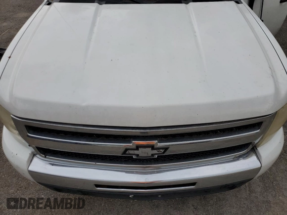 2009 Chevrolet Silverado 1500 LT with VIN 1GCEK29059Z137569, listed as a Copart auction lot 54386425 with 363,955 mi miles and Clean Title. Bid and sale history available at carsss.com. Image 11.