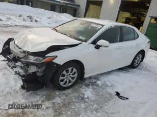 2019 Toyota Camry LE with VIN 4T1B11HK2KU818757, listed as a Copart auction lot 45773145 with 106,210 mi miles and Salvage Title. Bid and sale history available at carsss.com. Image 1.