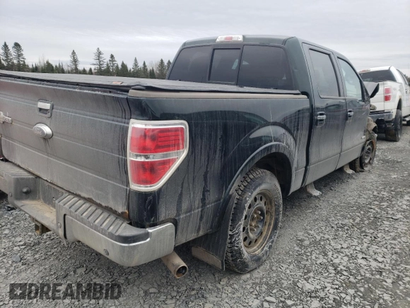 2013 Ford F-150 with VIN 2ATE01102DKD97632, listed as a Copart auction lot 49815235 with Not provided miles and Salvage title. Bid and sale history available at DreamBid. Image 3.