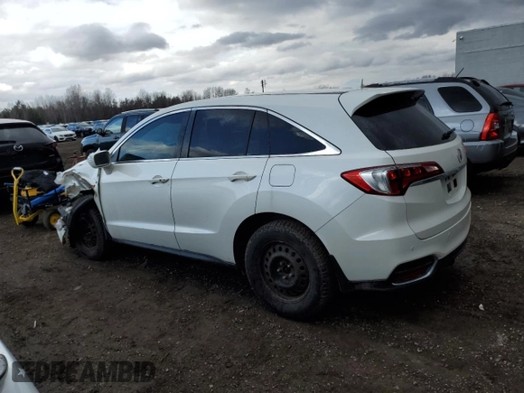 2017 Acura RDX w/Advance Pkg with VIN 5J8TB4H72HL800519, listed as a Copart auction lot 49222395 with 175,416 mi miles and Salvage Title. Bid and sale history available at carsss.com. Image 2.