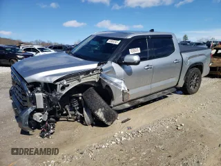 2022 Toyota Tundra Platinum with VIN 5TFNA5DB3NX028580, listed as a Copart auction lot 45586245 with 26,381 mi miles and Salvage title. Bid and sale history available at DreamBid. Image 1.
