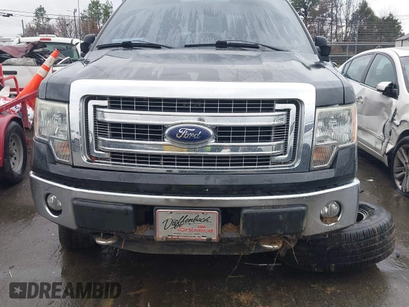 2014 Ford F-150 XL with VIN 1FTFX1EF9EFA08353, listed as a IAAI auction lot 41064612 with 140,025 mi miles. Bid and sale history available at carsss.com. Image 12.