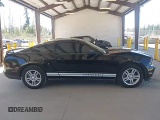 2011 Ford Mustang V6 с VIN 1ZVBP8AM6B5105584, выставлен на аукционе IAAI как лот 42686108 с пробегом 143 296 миль миль и . История ставок и продаж доступна на DreamBid. Изображение 13.