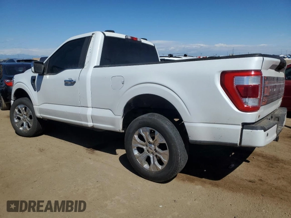 2021 Ford F-150 XL with VIN 1FTMF1CP2MKE07164, listed as a Copart auction lot 53718025 with 66,404 mi miles and Salvage title. Bid and sale history available at DreamBid. Image 2.