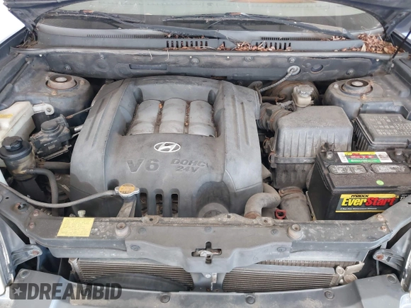 2004 Hyundai Santa Fe GLS with VIN KM8SC73D04U846243, listed as a IAAI auction lot 42126245 with 153,229 mi miles. Bid and sale history available at carsss.com. Image 10.