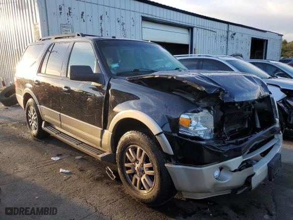 2009 Ford Expedition Eddie Bauer with VIN 1FMFU18529EB03713, listed as a Copart auction lot 73123284 with 206,768 mi miles and Salvage Title. Bid and sale history available at carsss.com. Image 4.