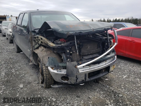 2013 Ford F-150 with VIN 2ATE01102DKD97632, listed as a Copart auction lot 49815235 with Not provided miles and Salvage title. Bid and sale history available at DreamBid. Image 12.
