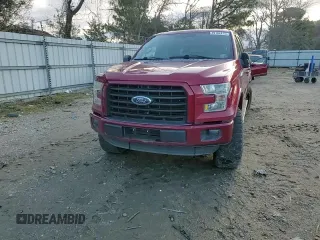 2016 Ford F-150 XL with VIN 1FTEW1CP2GKD09566, listed as a Copart auction lot 49182475 with 117,130 mi miles and Salvage Title. Bid and sale history available at DreamBid. Image 11.