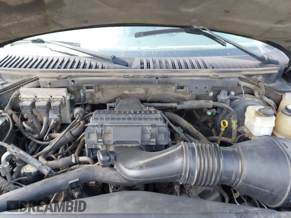 2005 Ford Expedition Special Service with VIN 1FMPU15545LA64184, listed as a IAAI auction lot 42535728 with 190,389 mi miles and . Bid and sale history available at DreamBid. Image 10.