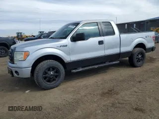 2010 Ford F-150 XL with VIN 1FTEX1EW1AFA91959, listed as a Copart auction lot 48774095 with 308,100 mi miles and Salvage Title. Bid and sale history available at carsss.com. Image 1.