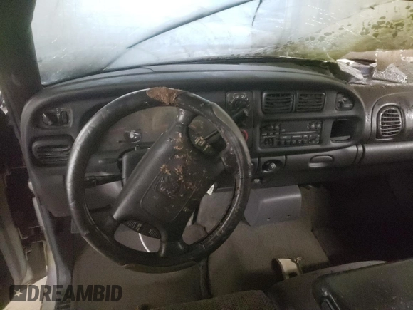 2001 Dodge 1500 with VIN 1B7HC16YX1S142617, listed as a Copart auction lot 45110595 with Not provided miles and Salvage title. Bid and sale history available at DreamBid. Image 8.