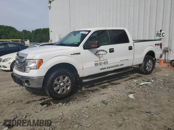 2013 Ford F-150 XL with VIN 1FTFW1EF9DKE66144, listed as a Copart auction lot 58134795 with 150,726 mi miles and Salvage title. Bid and sale history available at DreamBid. Image 1.